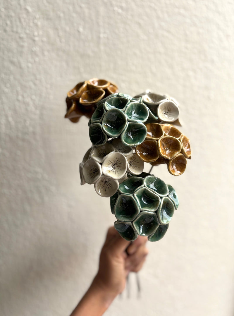 Moonflower Stem