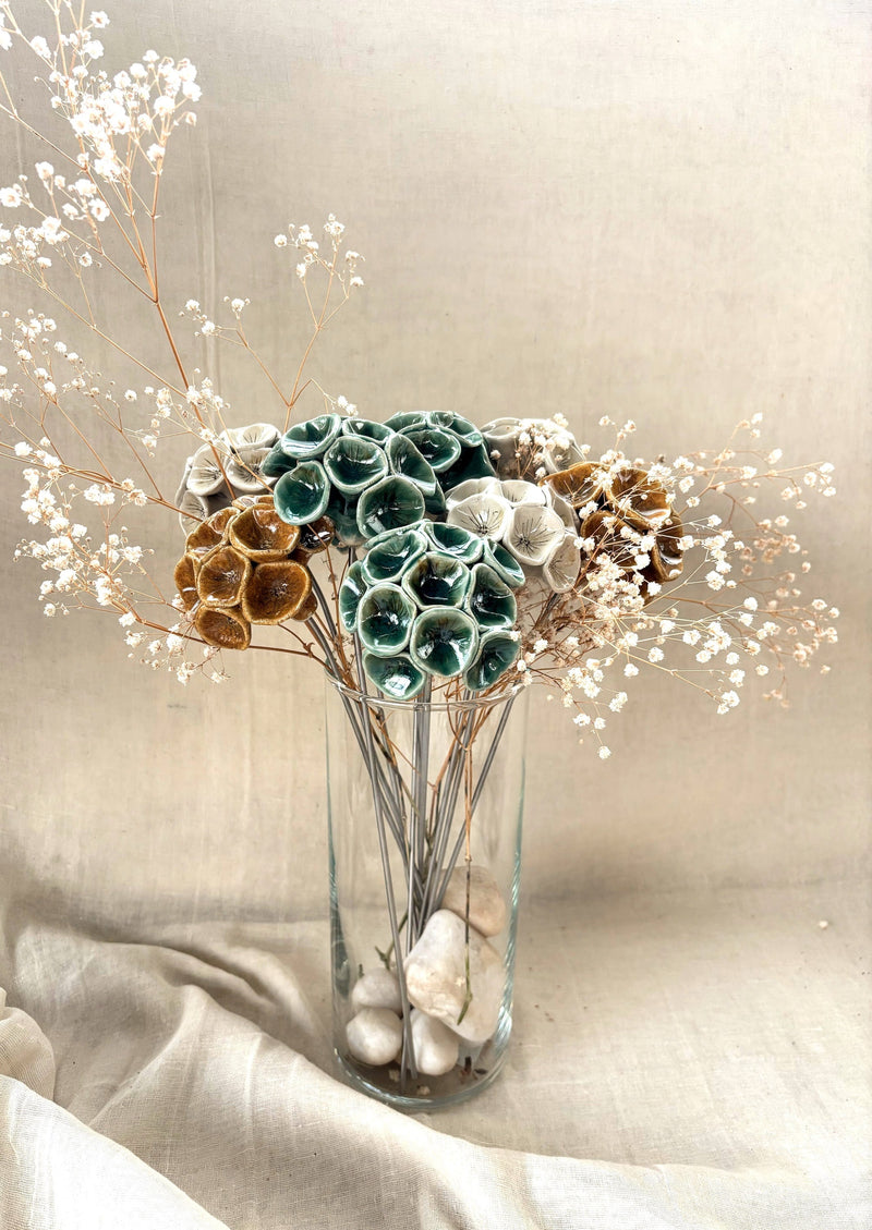 Moonflower Stem