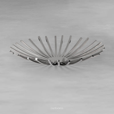 Ray Platter