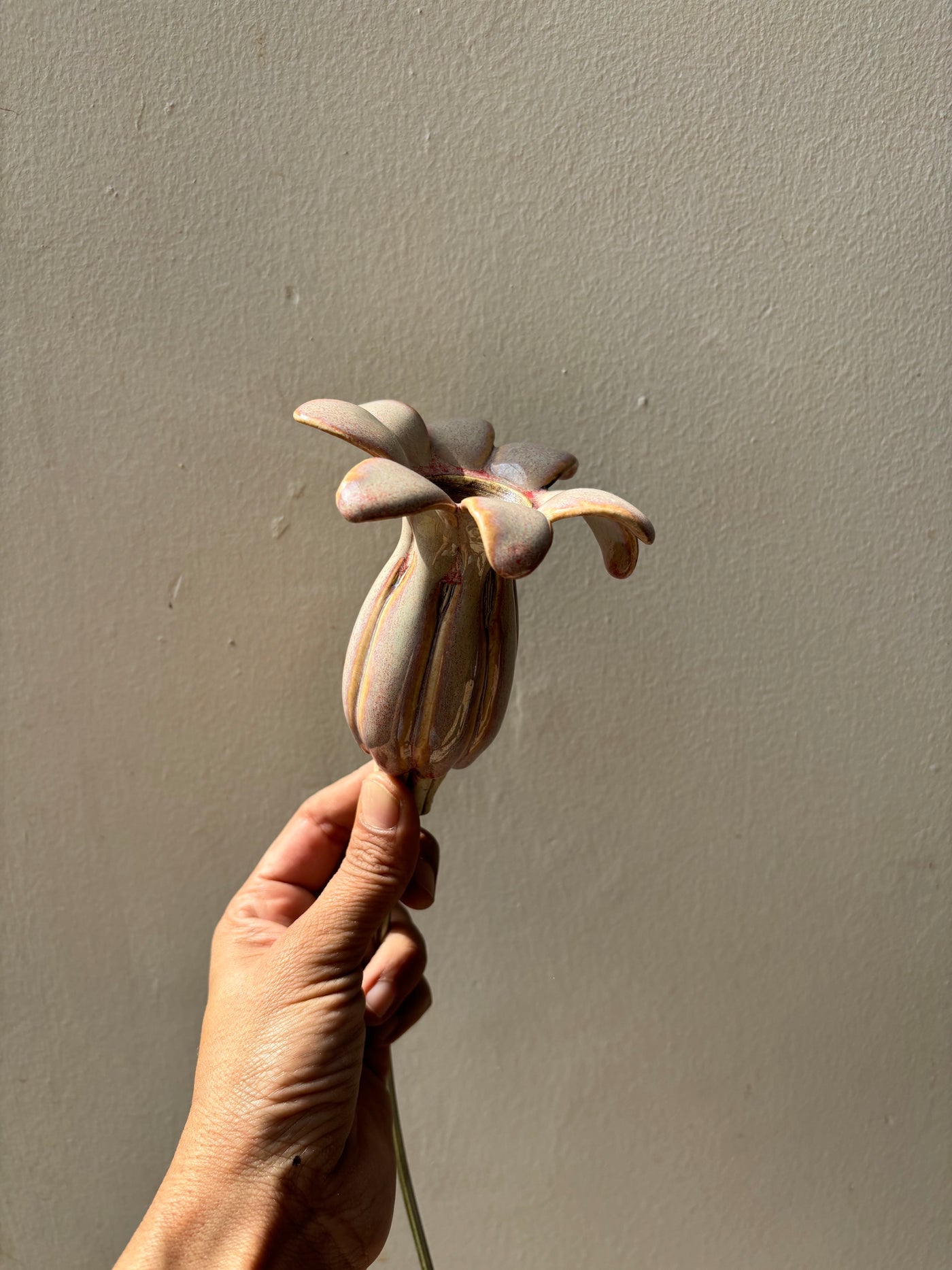 Flowering Pod Tall  - single