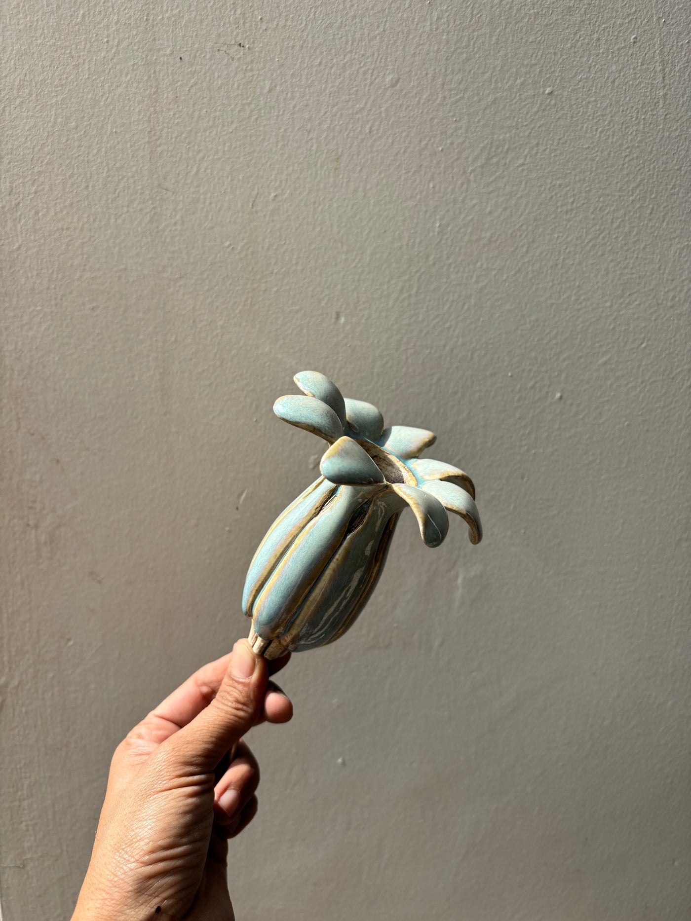 Flowering Pod Tall  - single