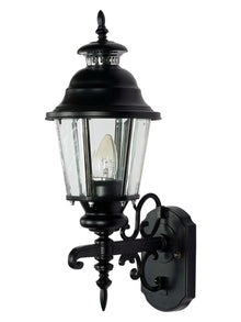 Ornate Lantern Style Outdoor Wall Light