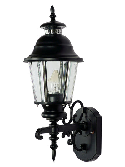 Ornate Lantern Style Outdoor Wall Light