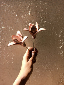 Pastel Pair of Lily
