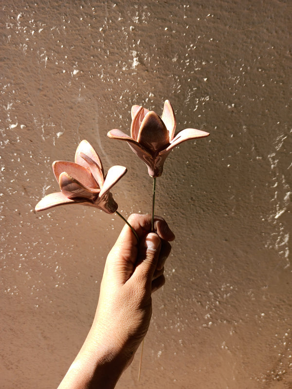 Pastel Pair of Lily