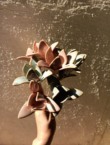 Pastel Pair of Lily