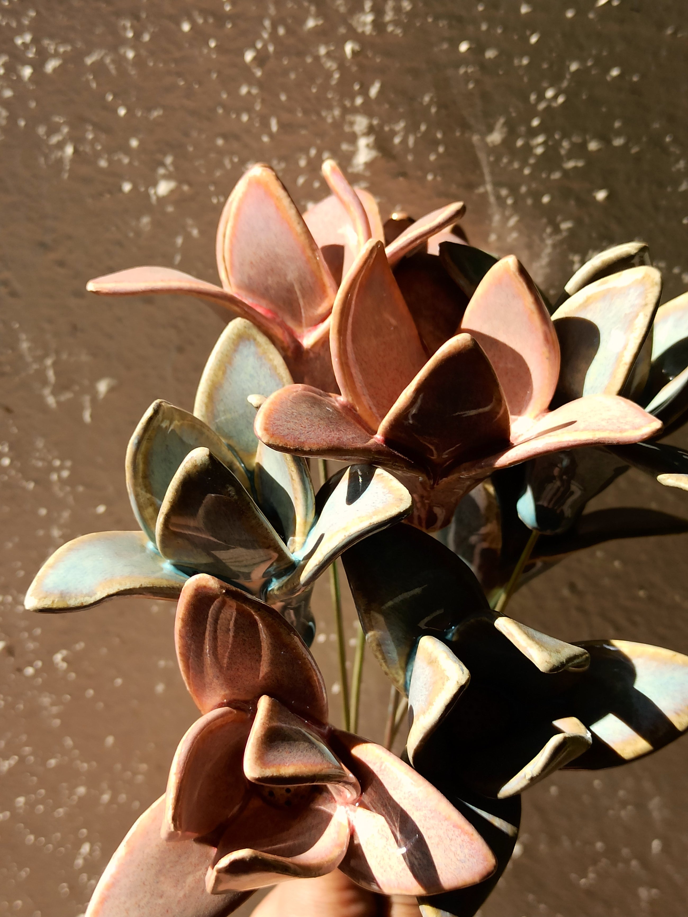 Pastel Pair of Lily
