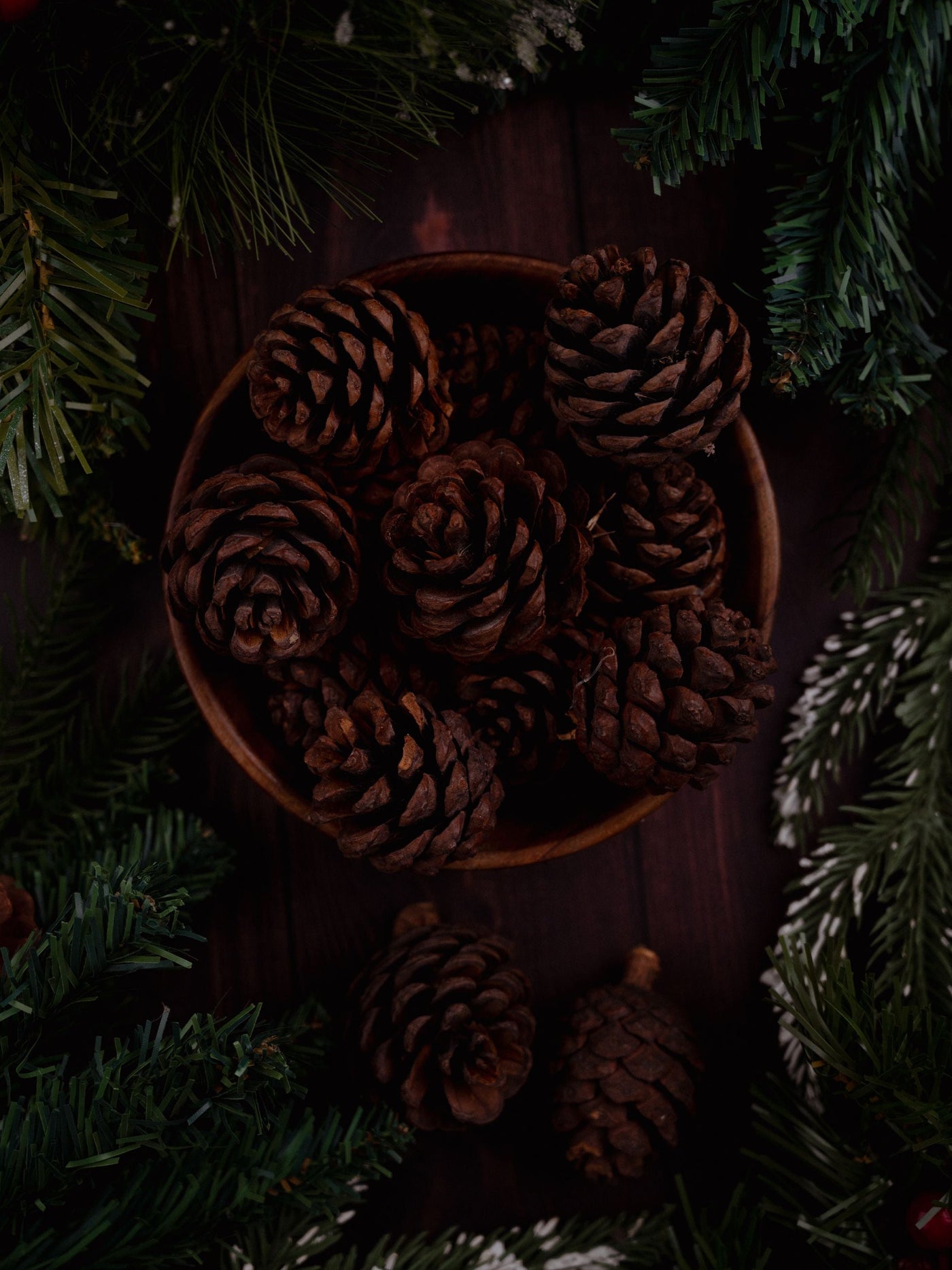 Pine Cones Pack of 6