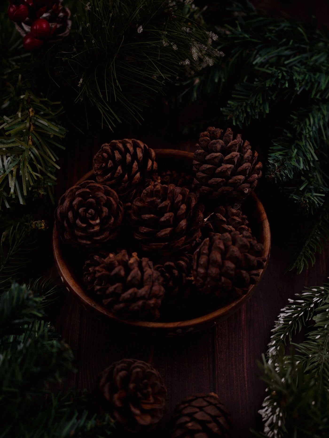 Pine Cones Pack of 6