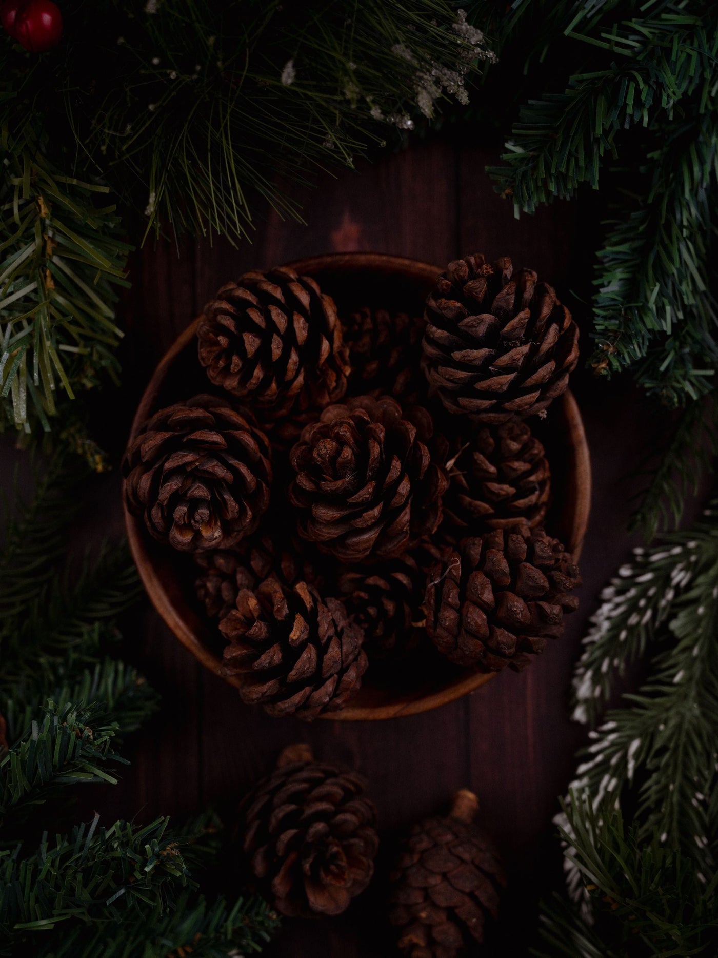 Pine Cones Pack of 6