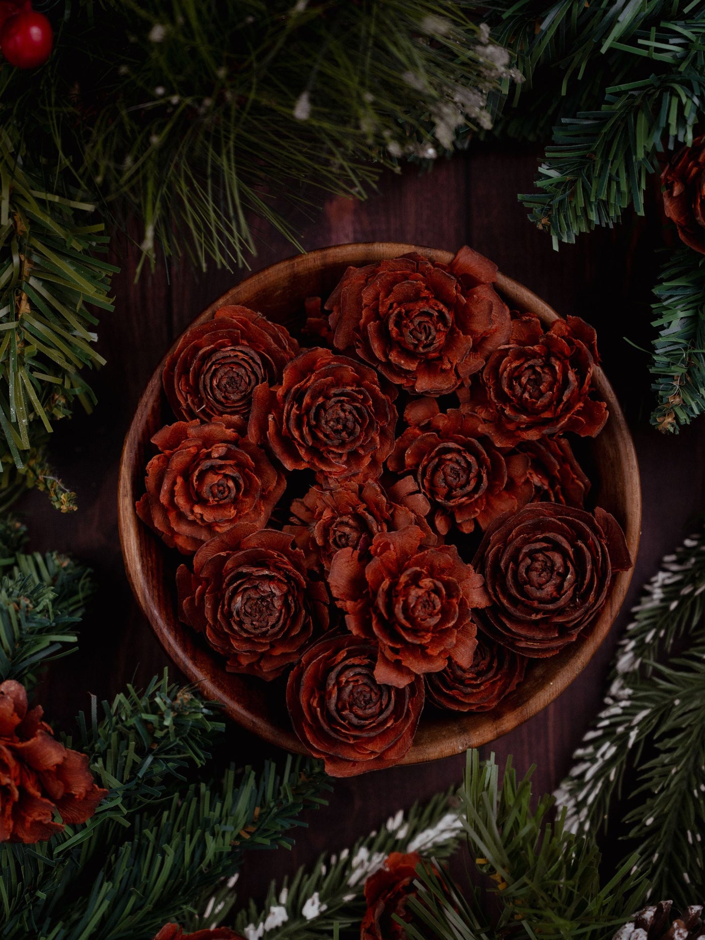 Pine Roses Pack of 6