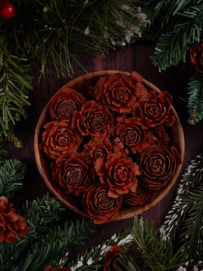 Pine Roses Pack of 6