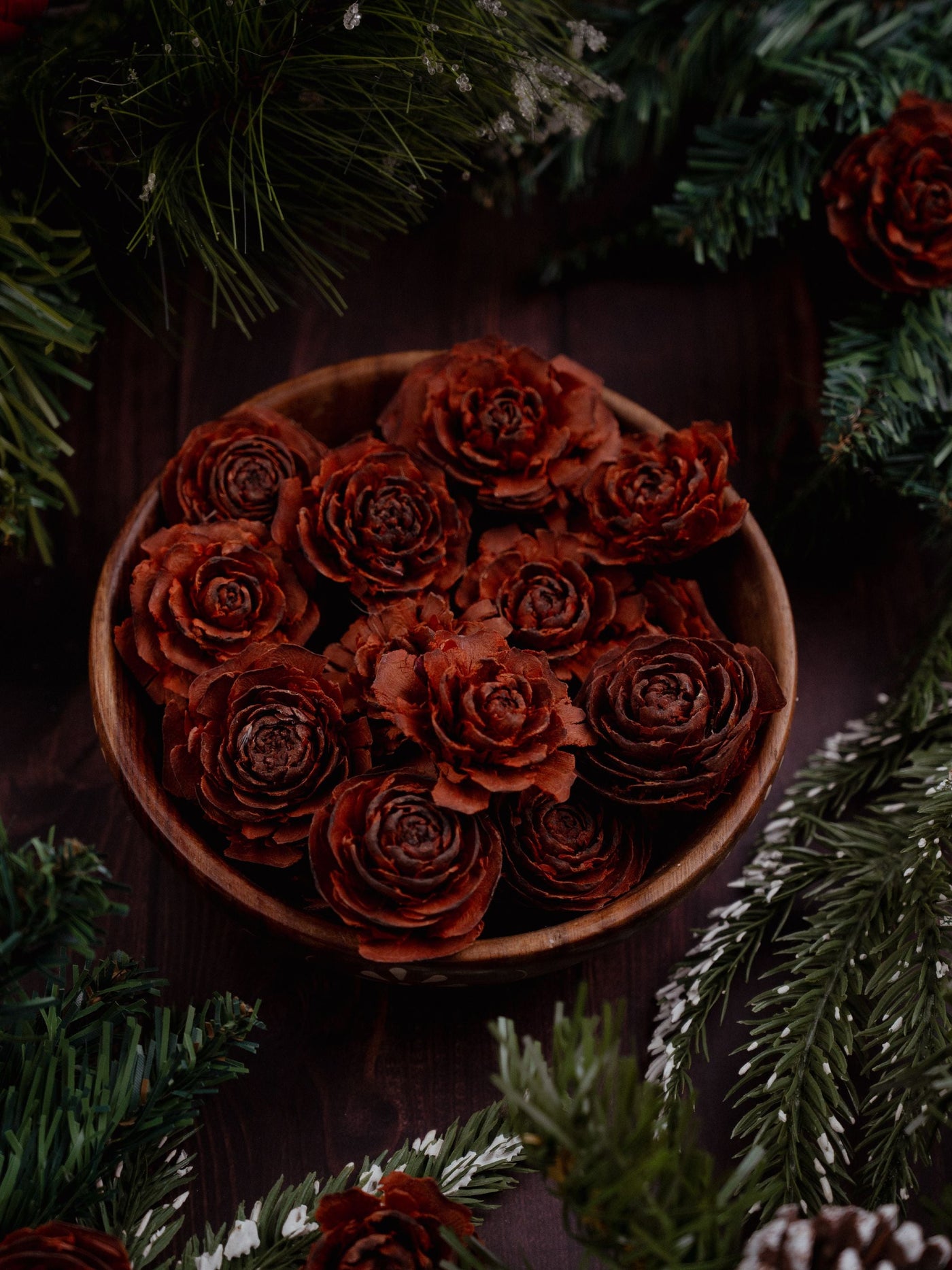 Pine Roses Pack of 6