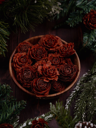 Pine Roses Pack of 6