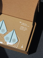 Play Plane Set of 2