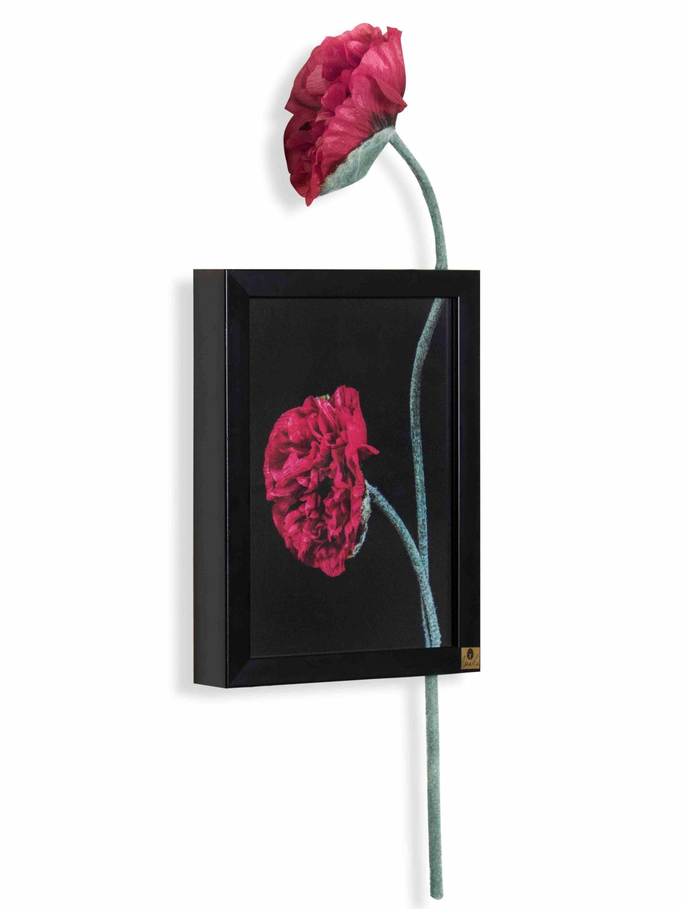 Poppy Vertical Wall Art