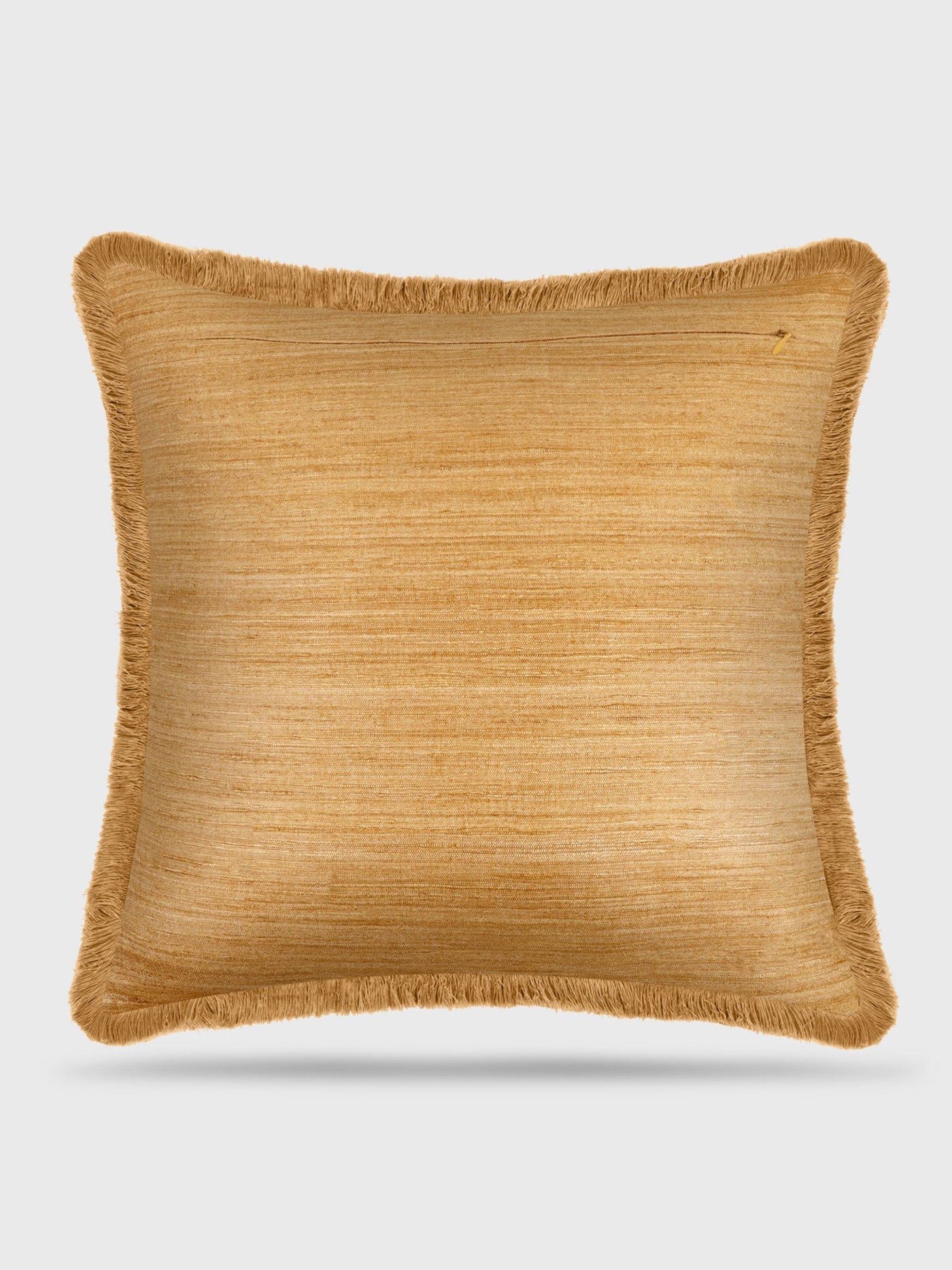 Pure Tussar Silk Sal Cushion