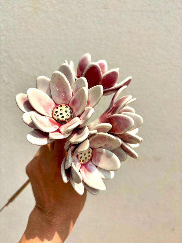 Rainflower Single flower stem - blushing pink