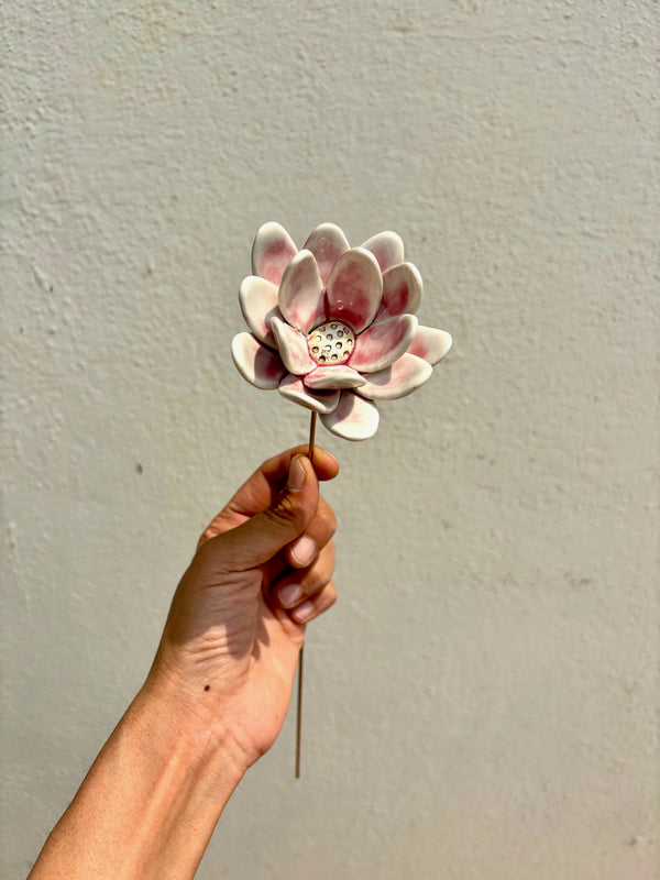 Rainflower Single flower stem - blushing pink