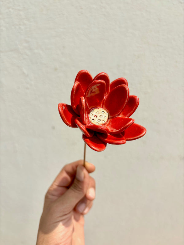 Rainflowers Single Stem Flowers - Red