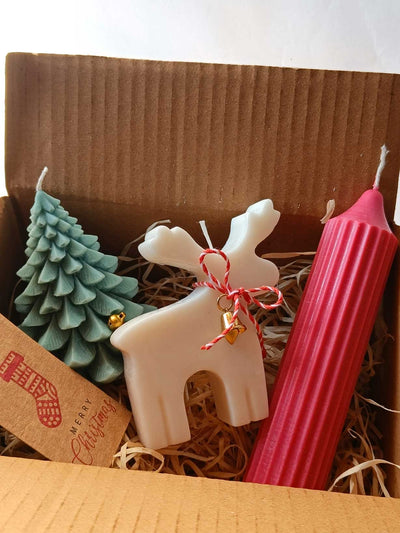 Secret Santa Christmas Gift Bundle