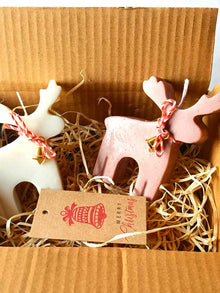 Rudolph The Reindeer Christmas Gift Set of 2 – Festive Holiday Decor
