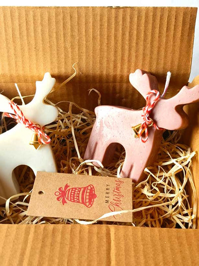Rudolph The Reindeer Christmas Gift Set of 2 – Festive Holiday Decor