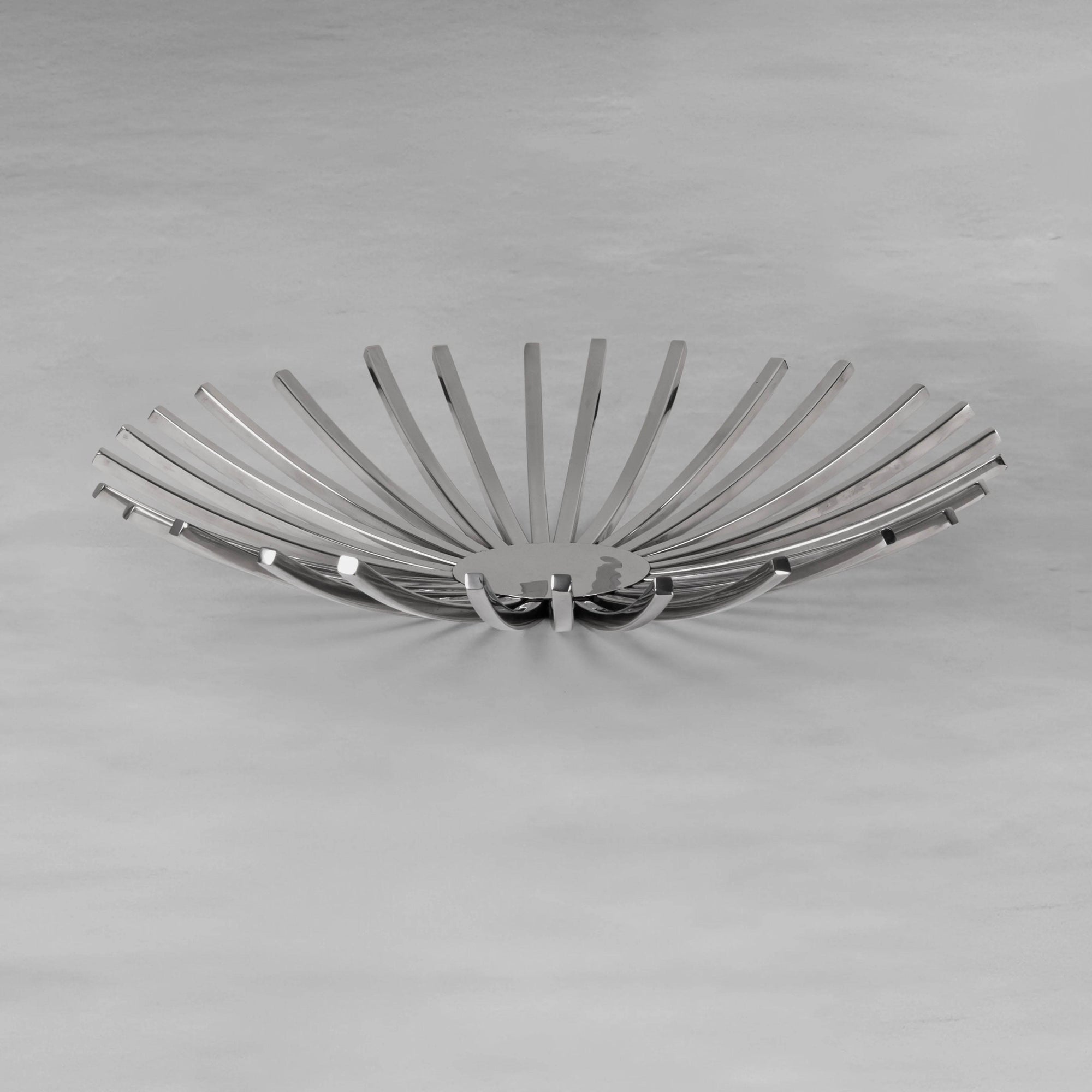 ray-platter_2_dw.webp