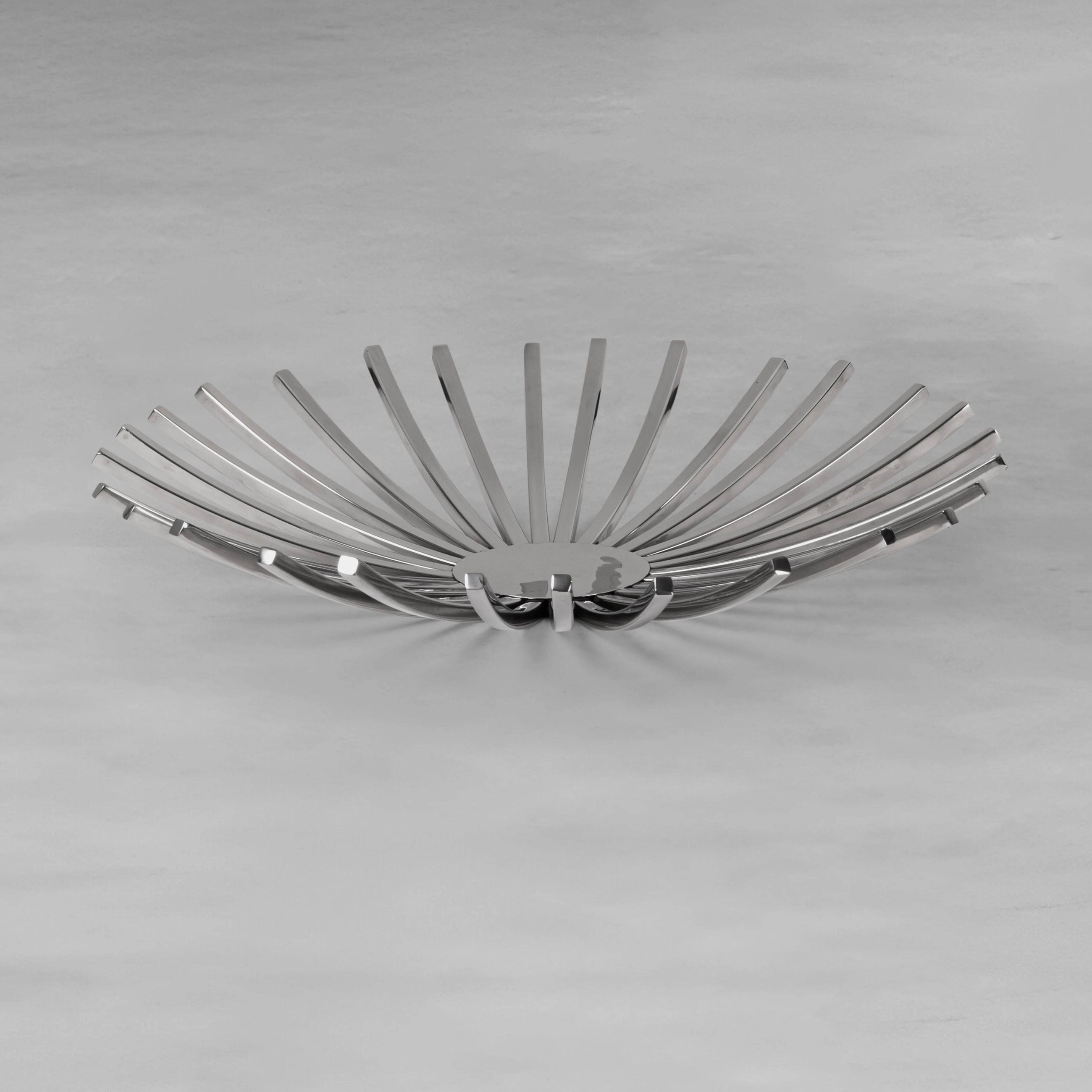 ray-platter_2_dw.webp