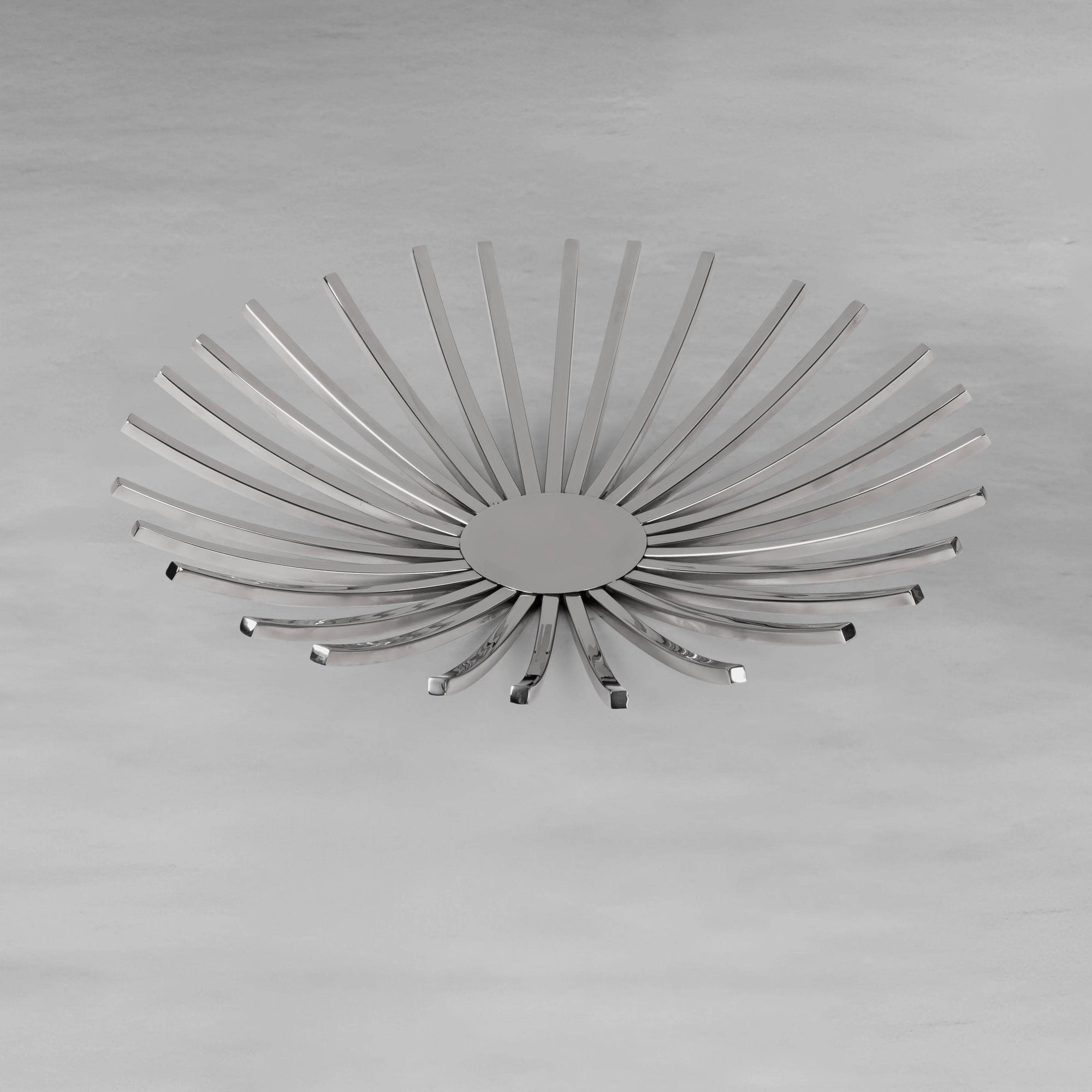 ray-platter_3_dw.webp