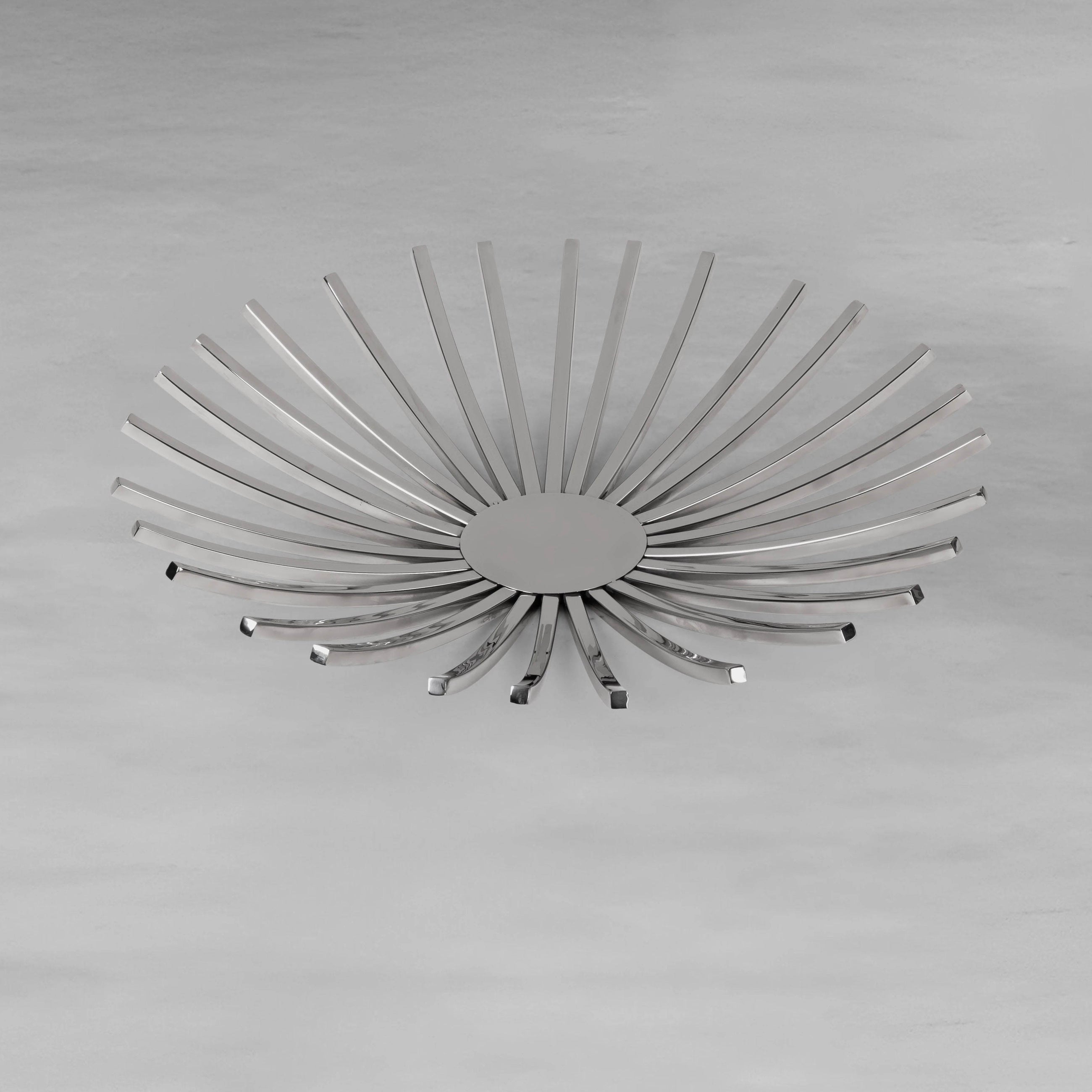 ray-platter_3_dw.webp