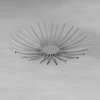 ray-platter_3_dw.webp