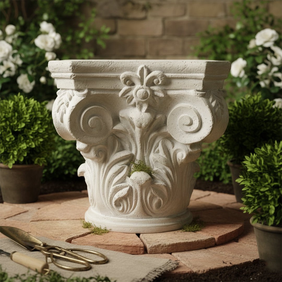 Royal Pedestal