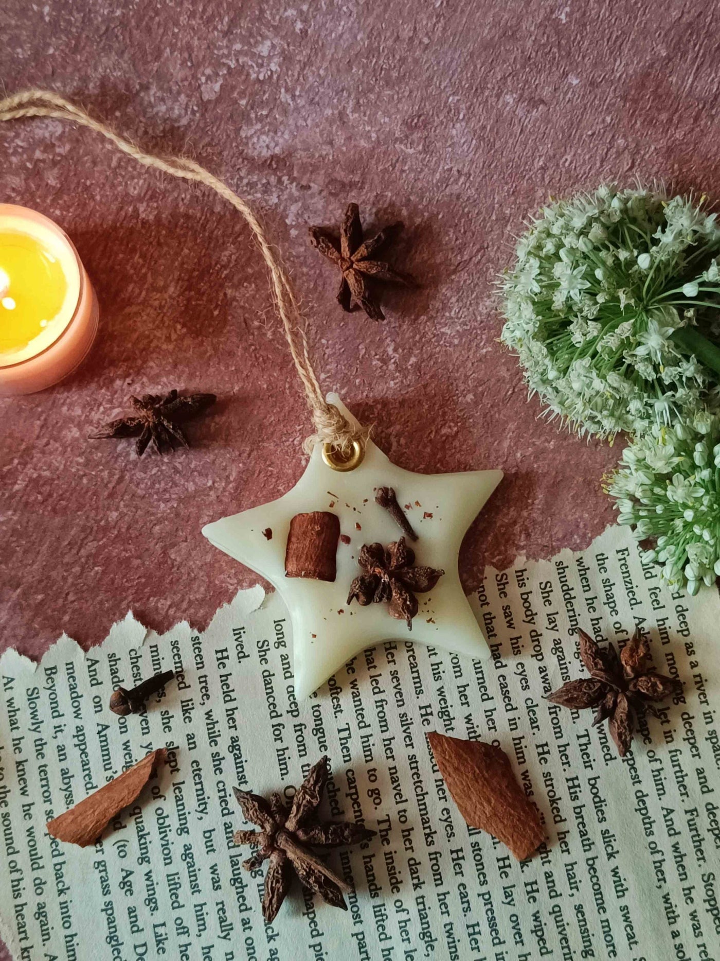 Scented Wax Sachet - Star Anise