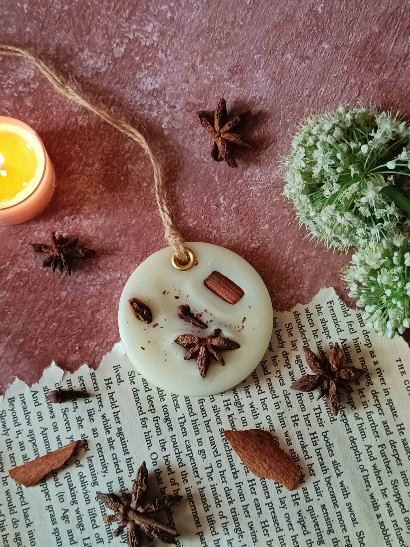 Scented Wax Sachet Circle - Star Anise
