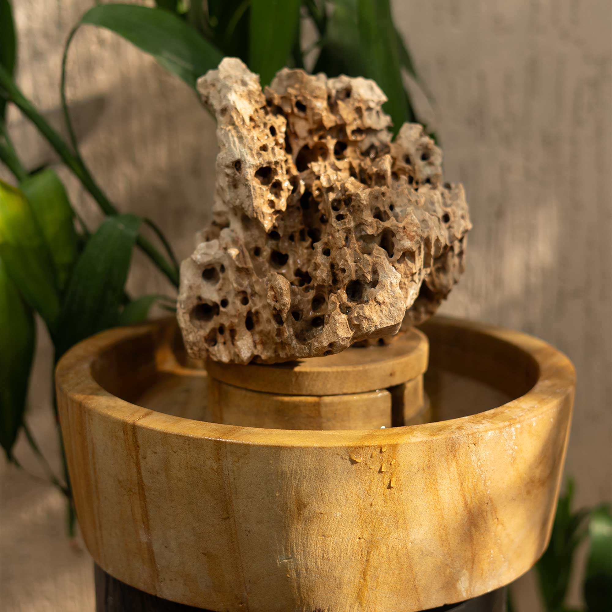 Sea Rock Fountain
