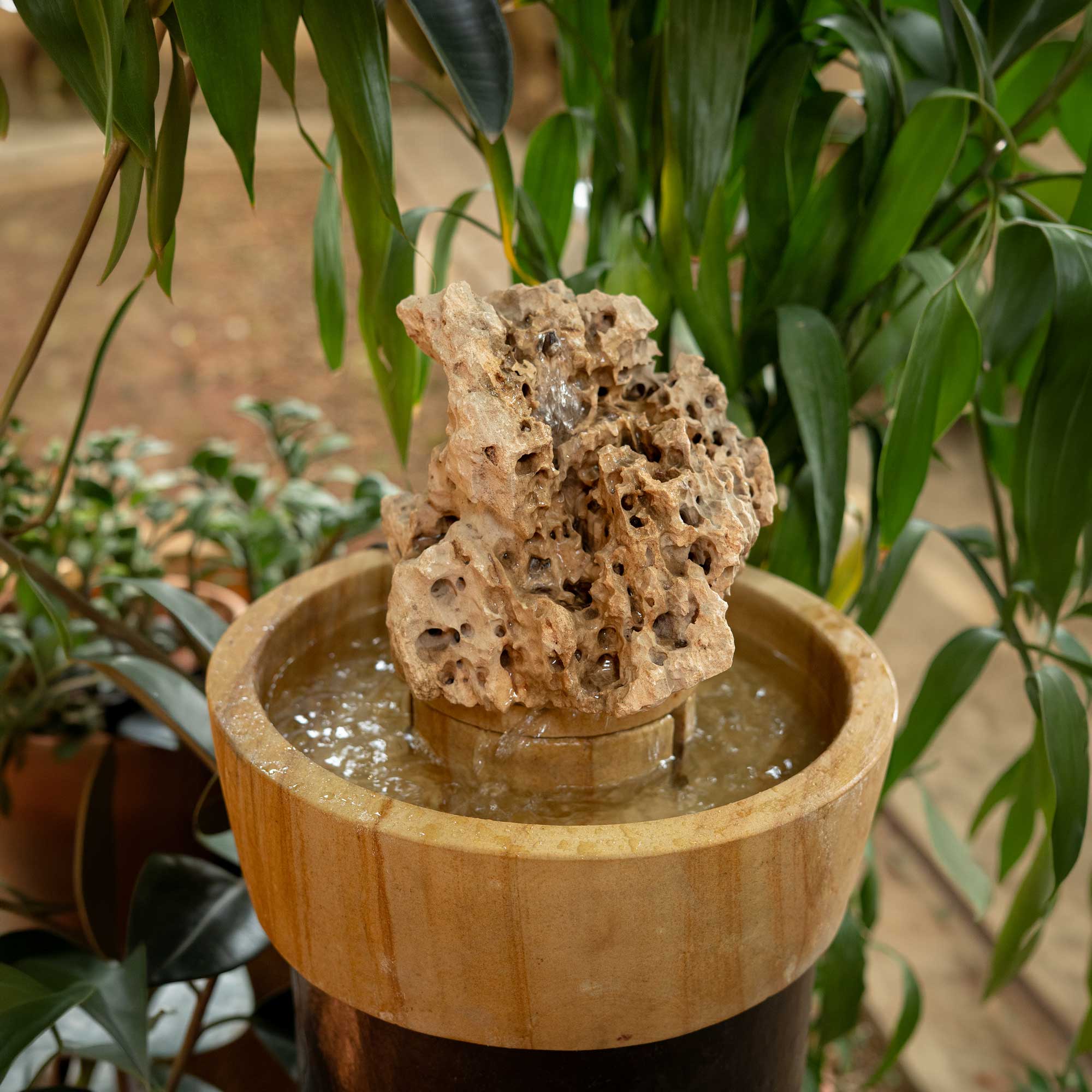 Sea Rock Fountain