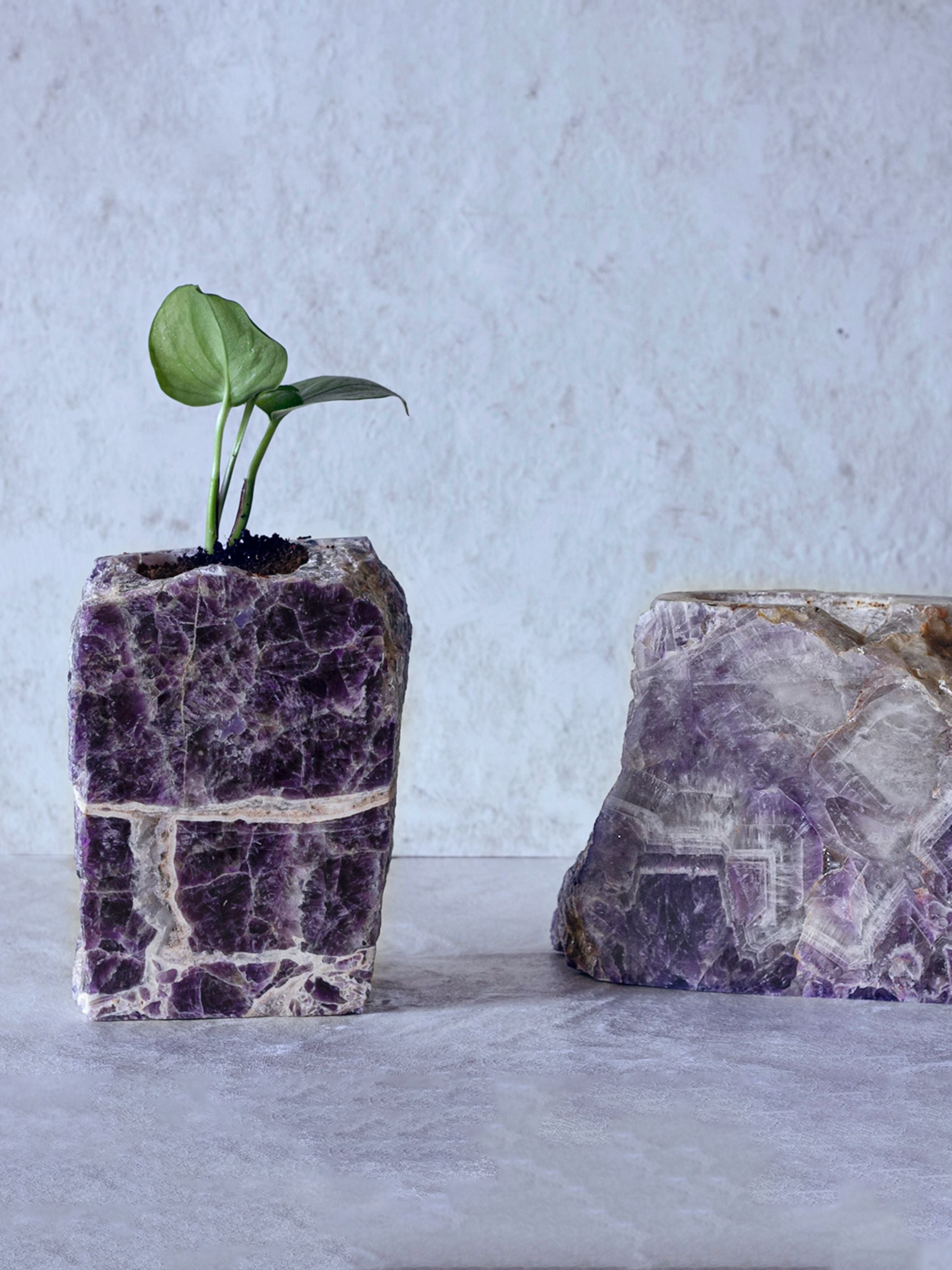 Semi Precious Planter