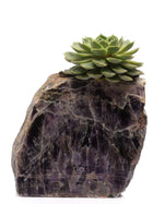 Semi Precious Planter