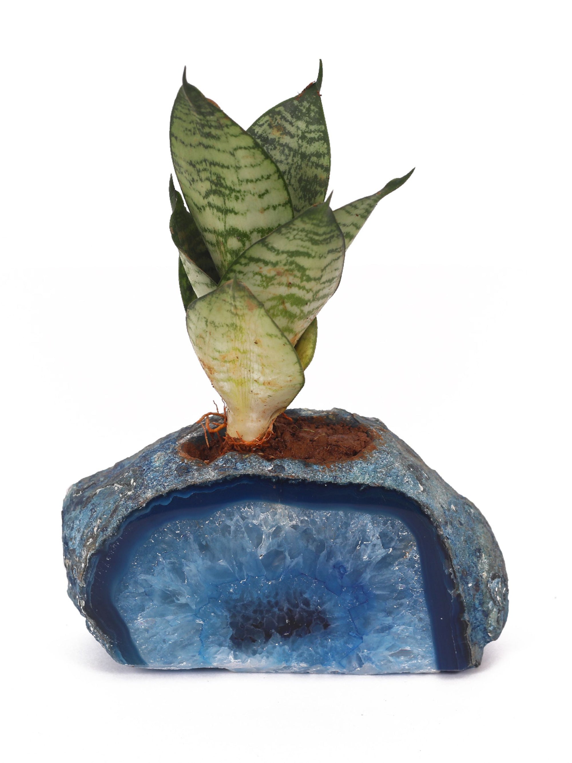 Semi Precious Planter - Blue