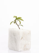 Semi Precious Planter