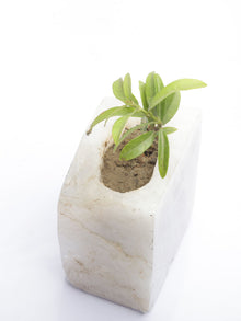 Semi Precious Planter