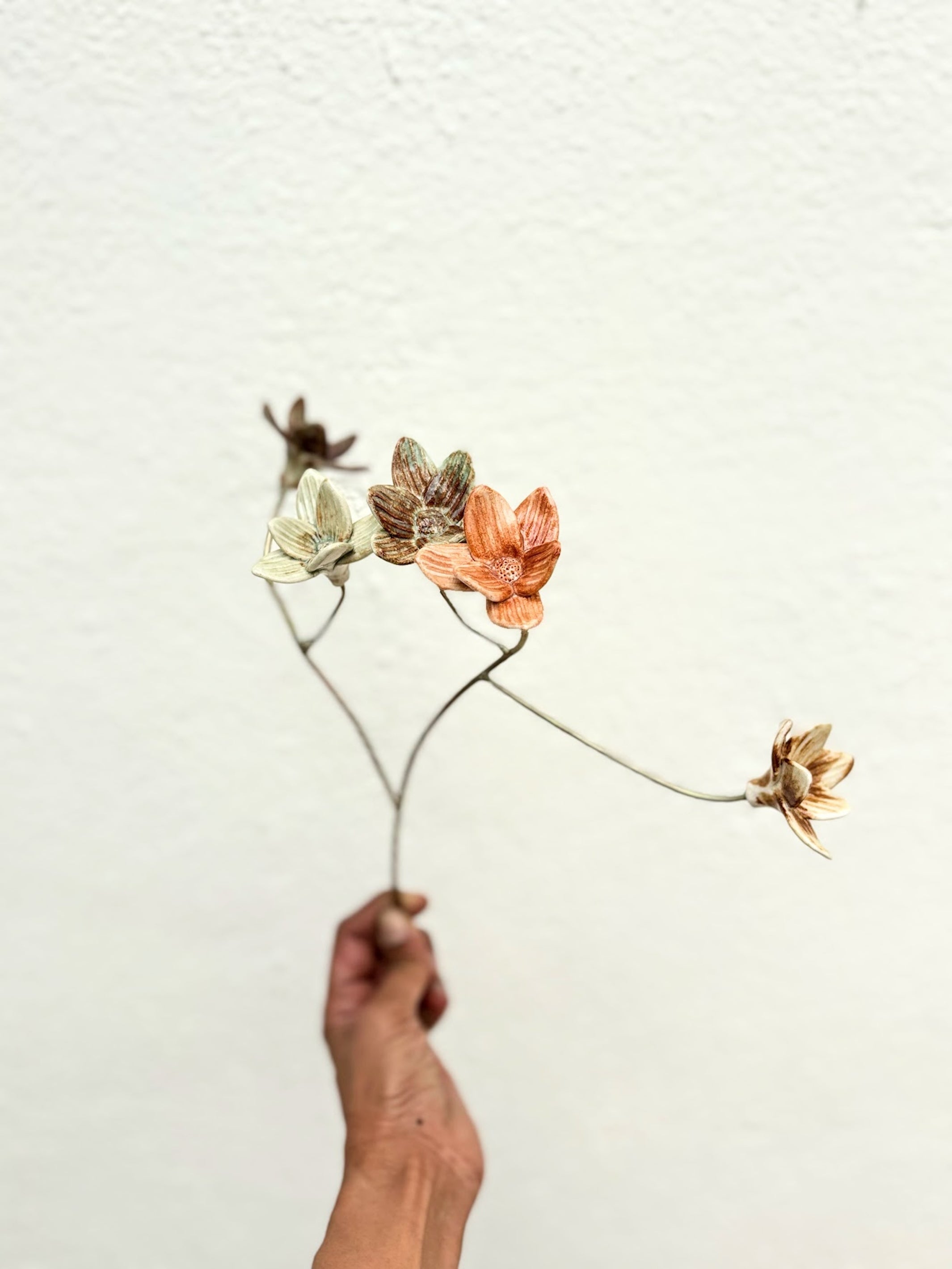 Sepia Dreams - Branched 5 flower stem