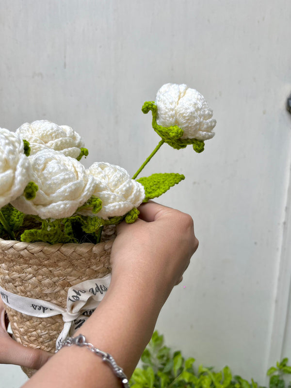 Crochet White Rose
