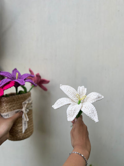 Ishmades Crochet Lily