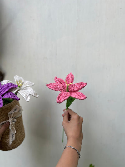 Ishmades Crochet Lily