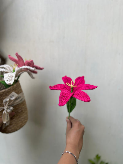 Ishmades Crochet Lily