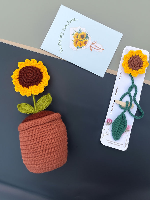 Ishmades Sun-Knit Surprise bundle