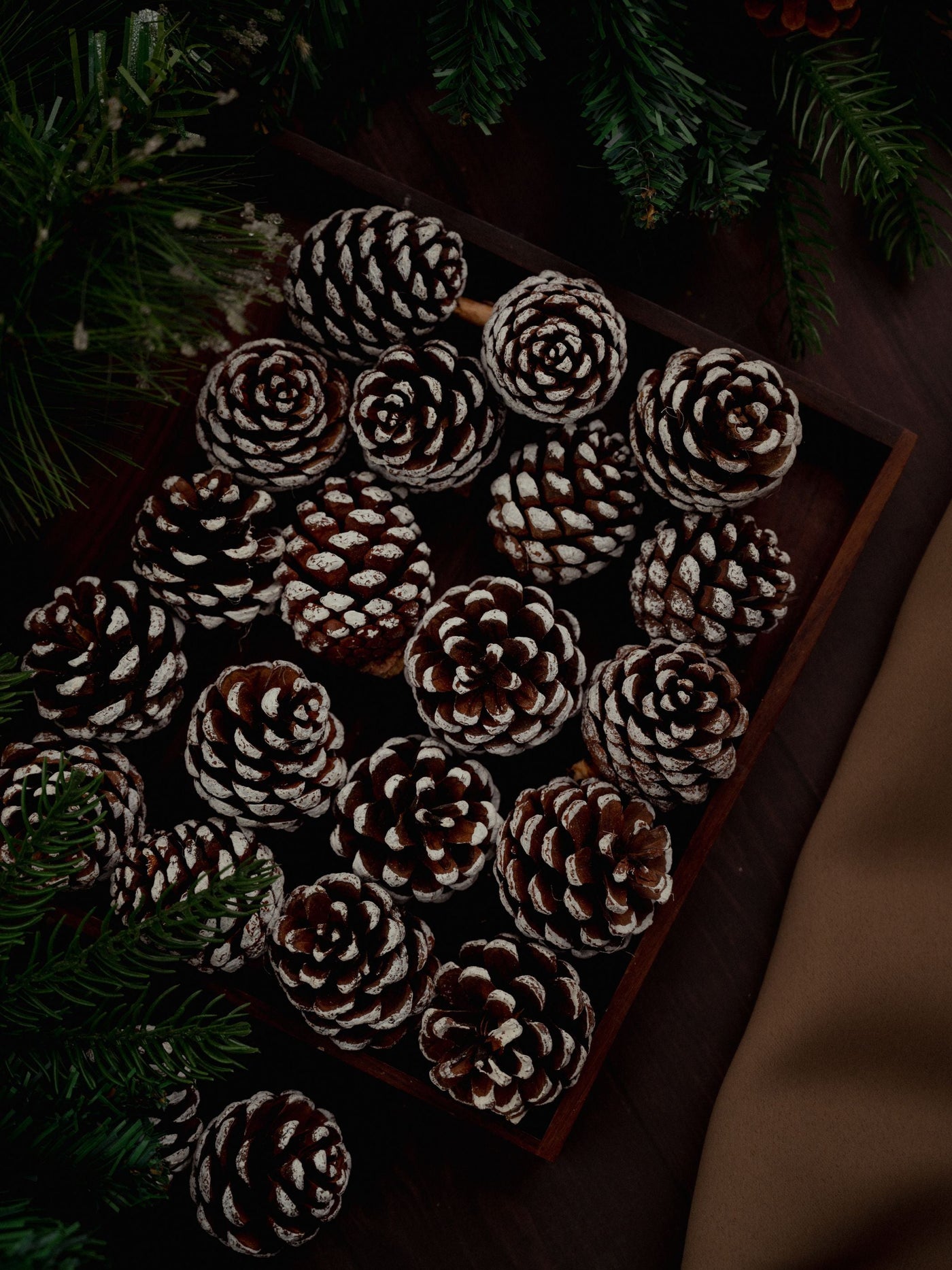 Snow Pine Cones Pack of 6