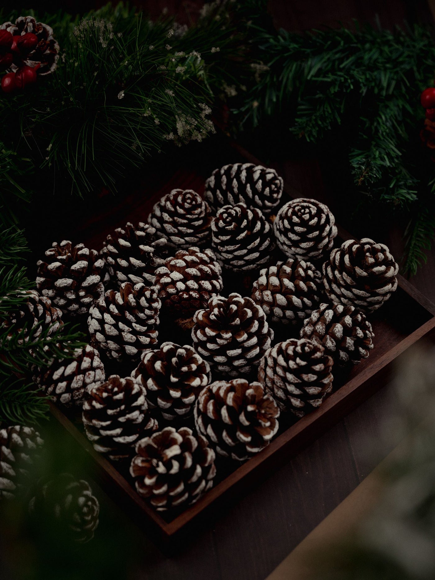 Snow Pine Cones Pack of 6